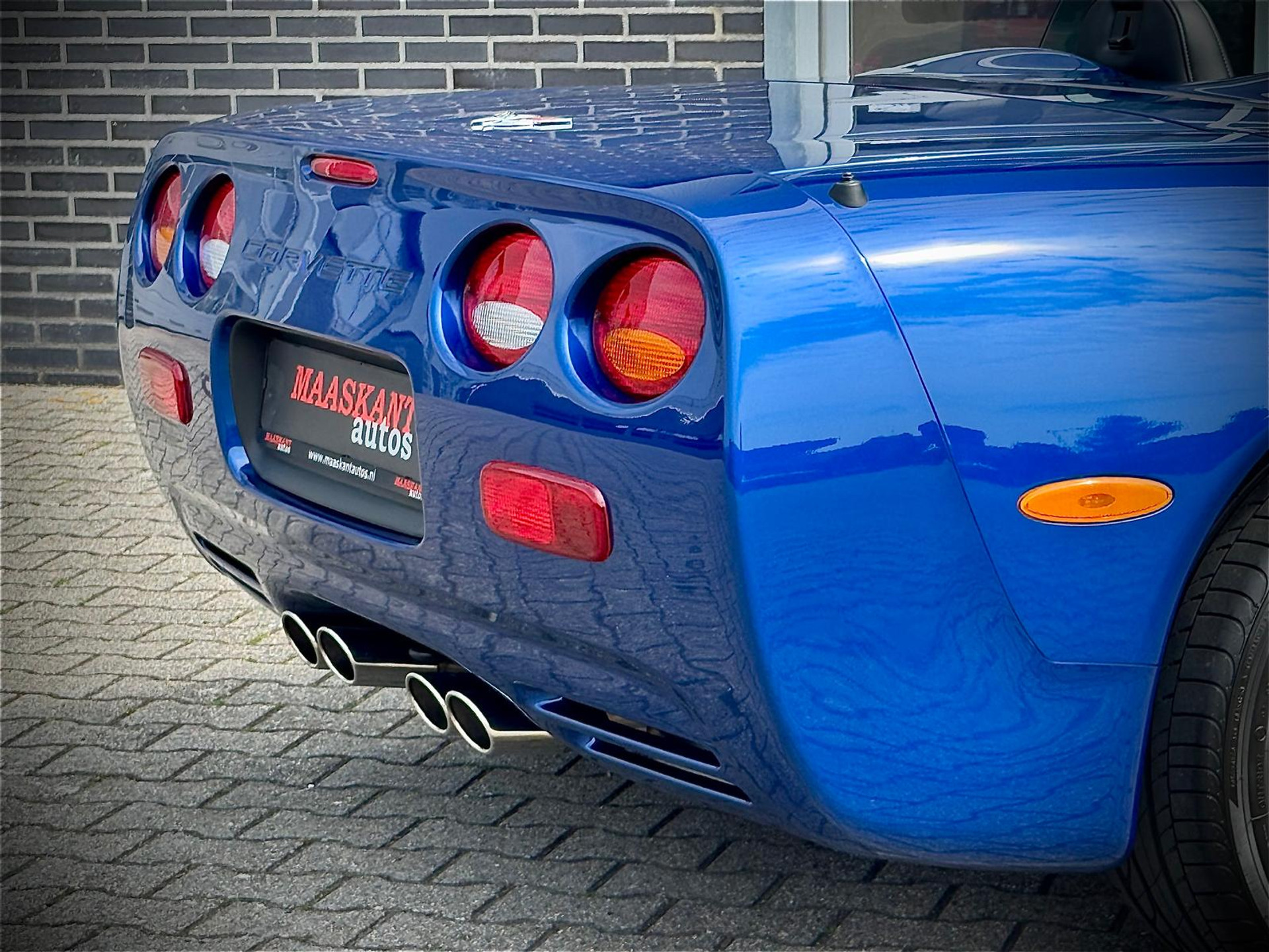 46649840-13.jpg
