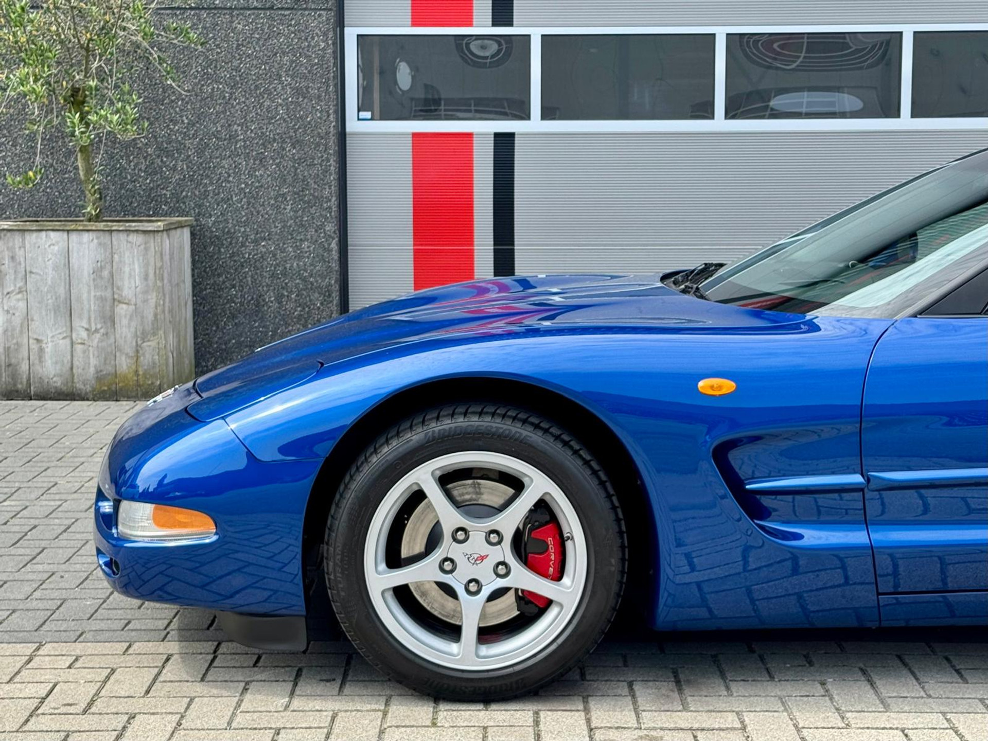 46649840-6.jpg