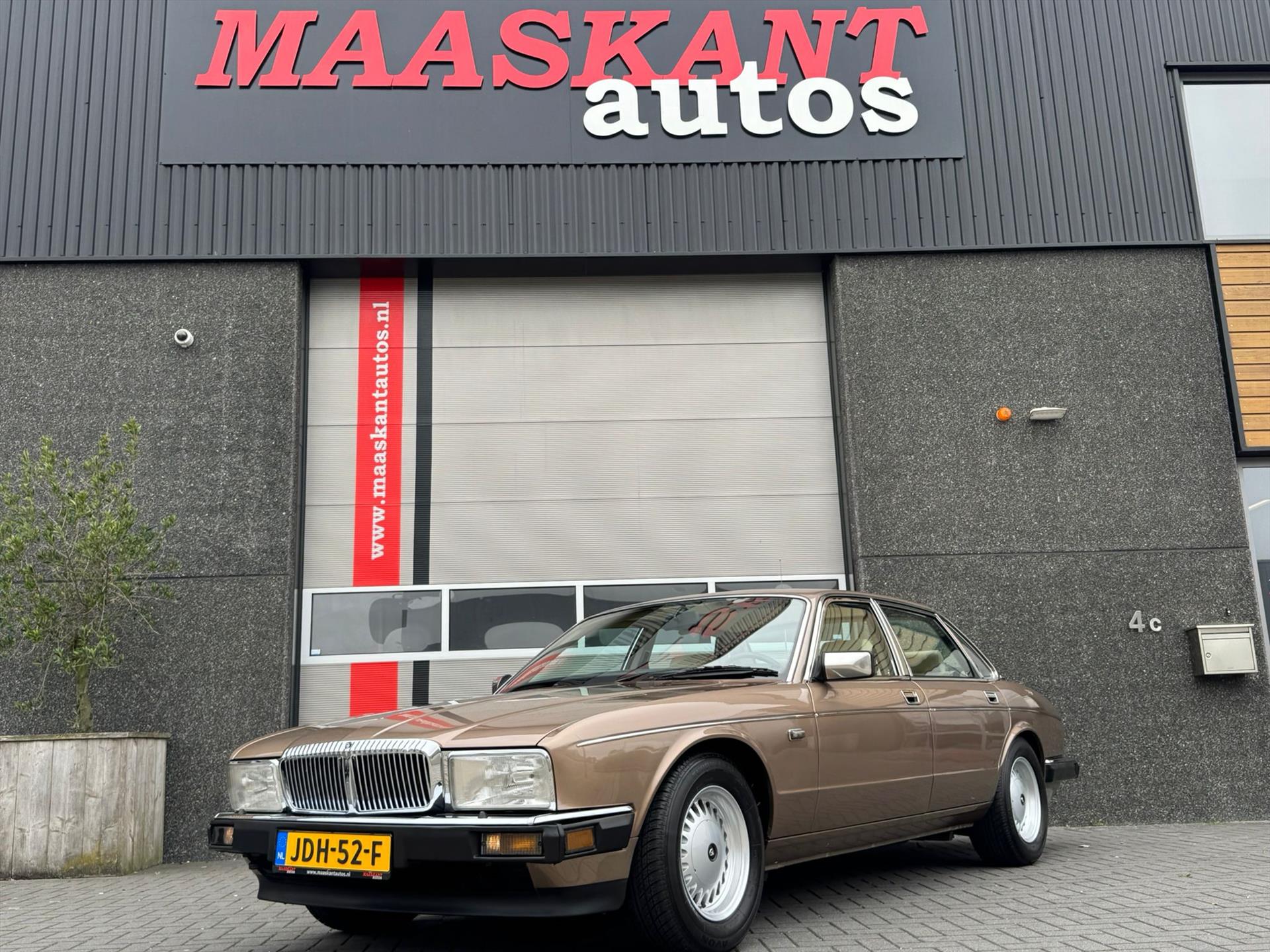 47190115-1.jpg