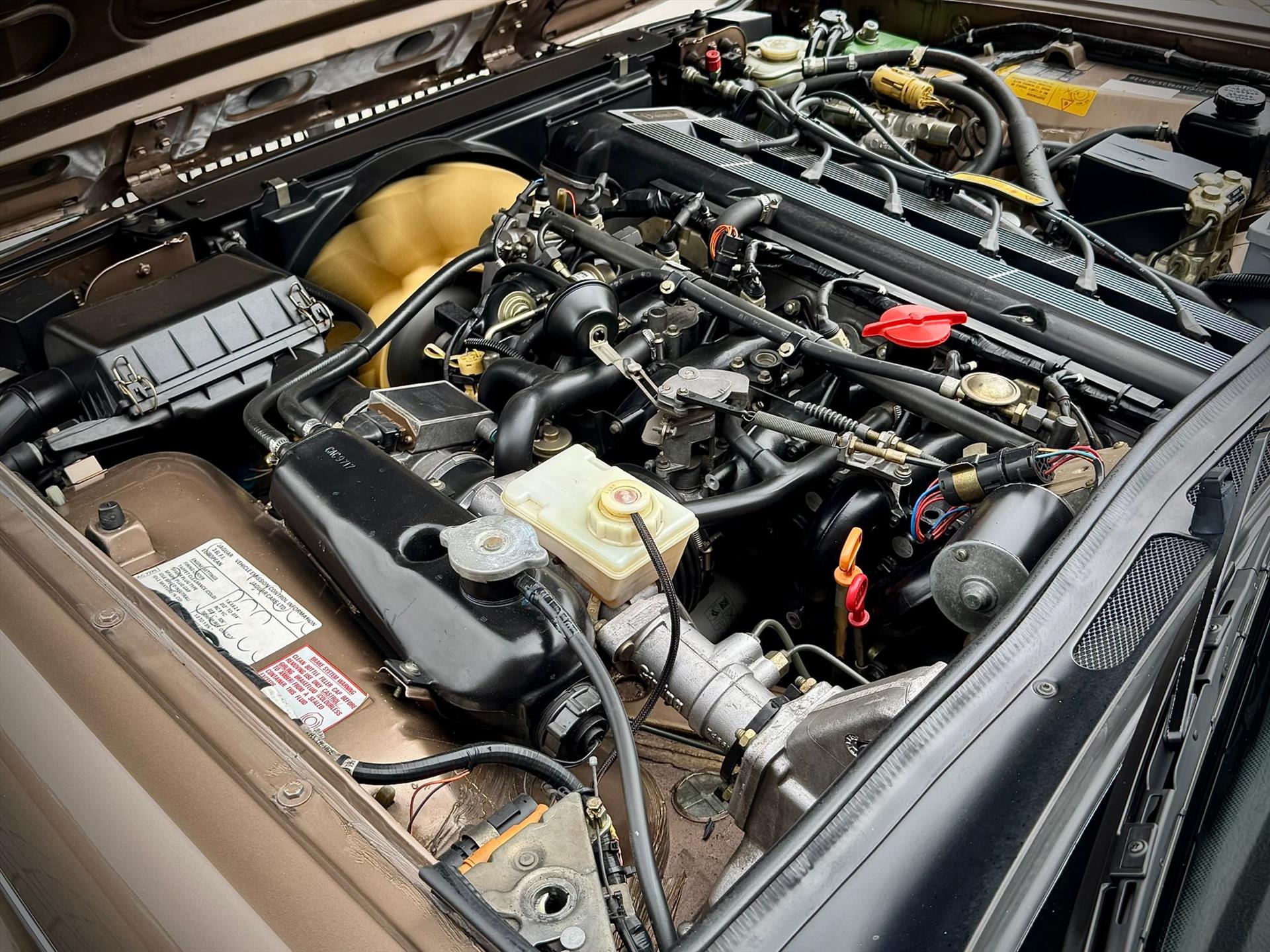 47190115-21.jpg