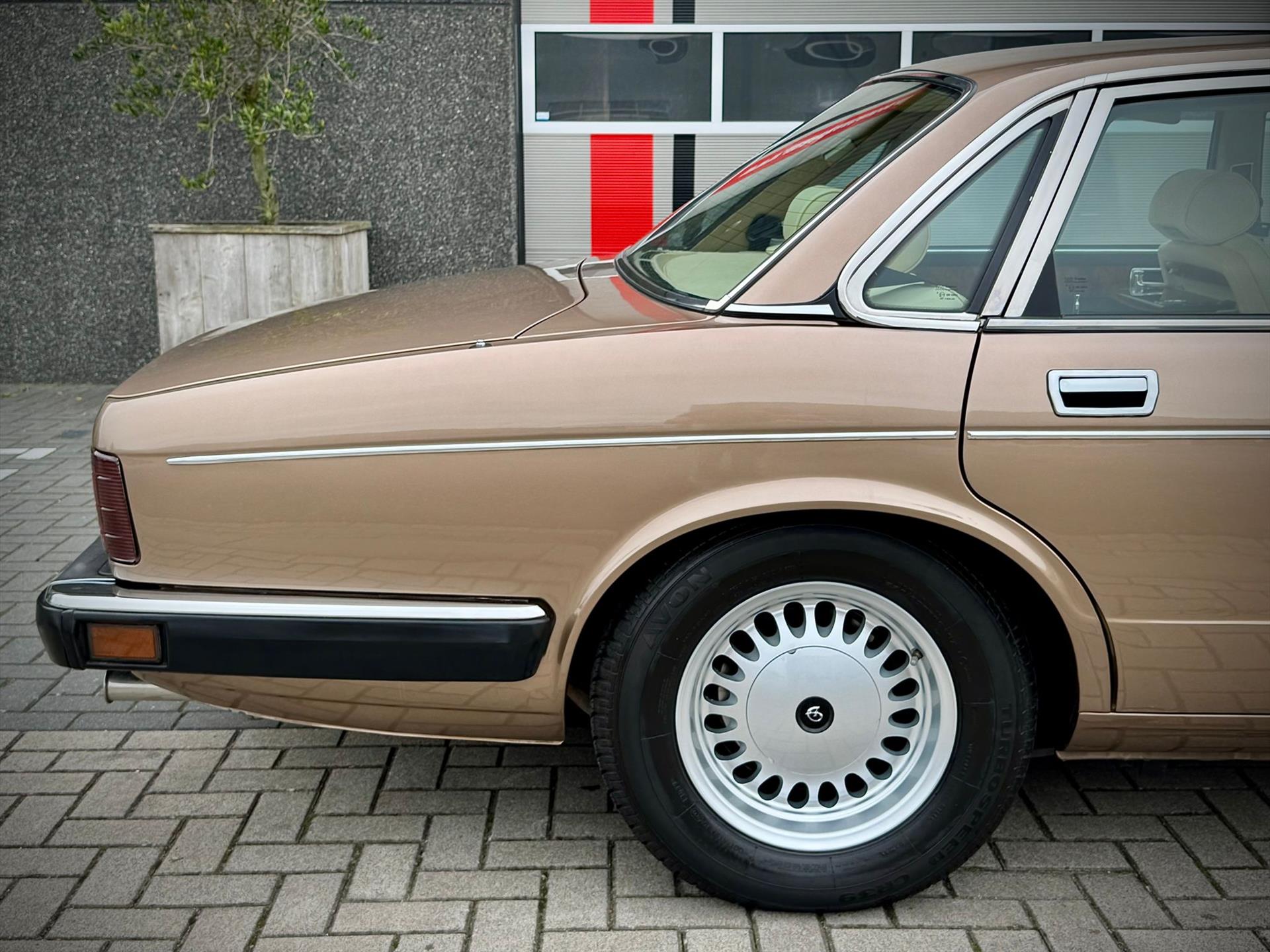 47190115-3.jpg
