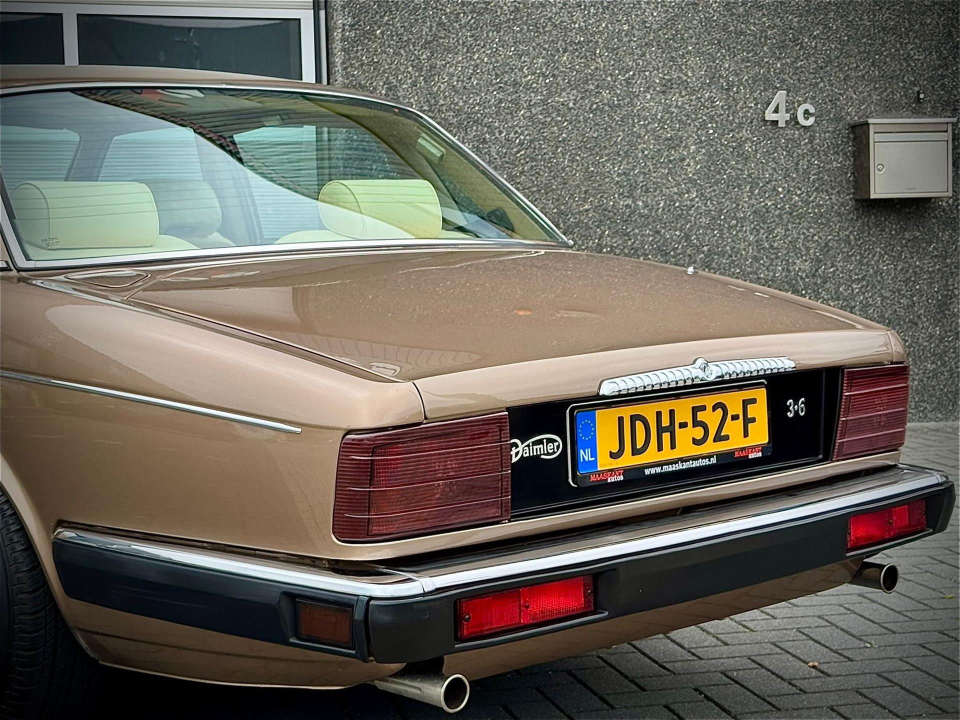 47190115-45.jpg