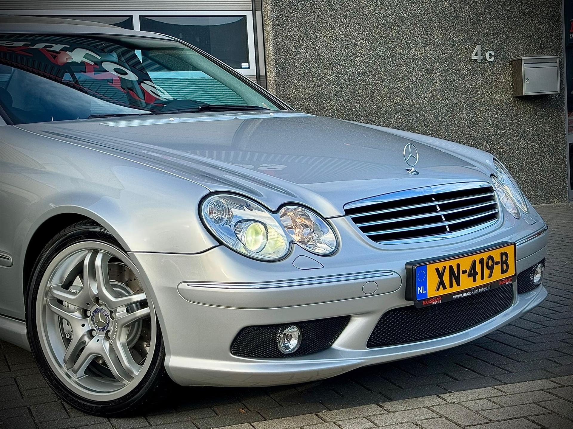 47502619-10.jpg